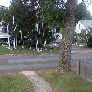 Neighbor got tp'd