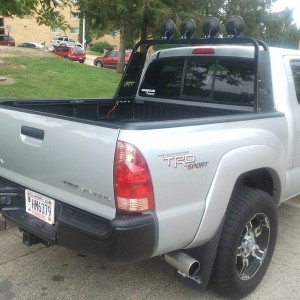 Back