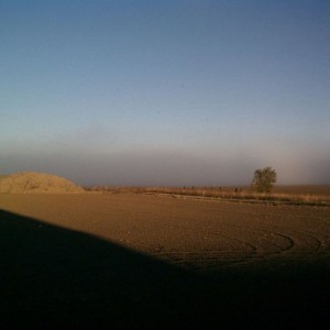 Fog line this morning when I was out doing dirt work