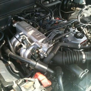 Freshly steam cleaned