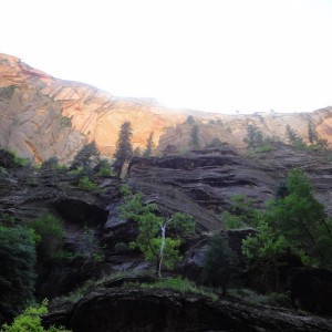 DSC007811