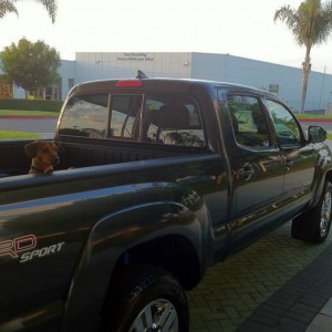 Picking her up!