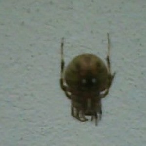 What the?!!!!!