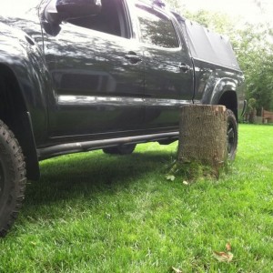 The backyard got kinda sketchy today.. Thank god for sliders..
