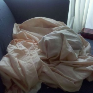 Weird cat, likes to be wrapped up in a blanket..