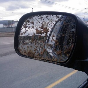 Muddy Mirror