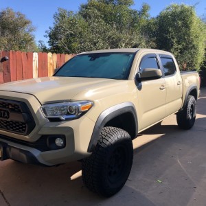 Taco 1_4