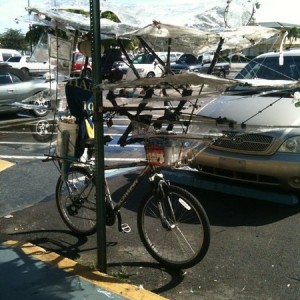 This contraption started it's life as a simple bicycle