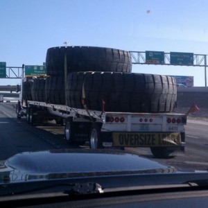 They should fit alittle trimming lol
