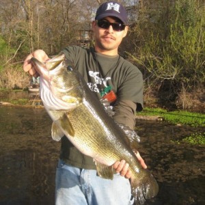Bass3