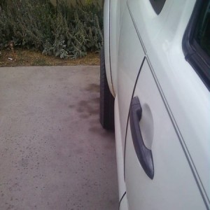 rear after spidertrax