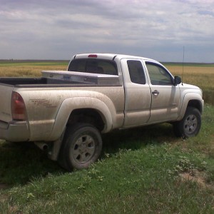 dirty_wheat