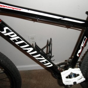 Stumpy_1