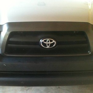 Painted Grill