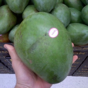 Check out size of there mangos!