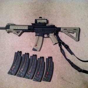 S&W 15-22