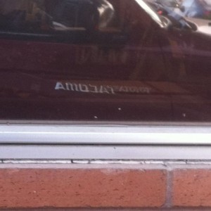 Did anyone else notice Tacoma backwards is amo cat?