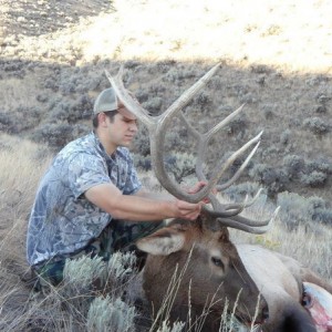 phillips_2011elk_022