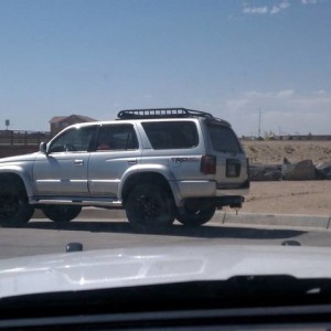 spotted