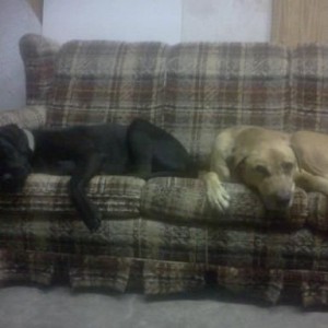 couldnt care less about the football games.