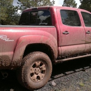 livenat4gx
