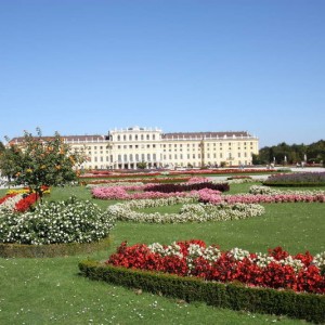 IMG_37652