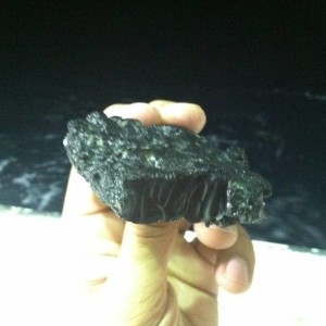 BP oil spill