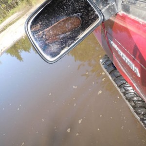 Good day to Trail Ride