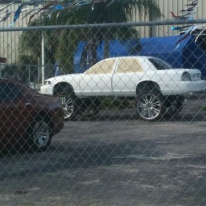 Only in Tampa