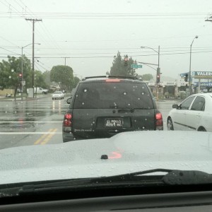 Ima go buy my next car from "el pollo auto Inc" lmao :laugh: