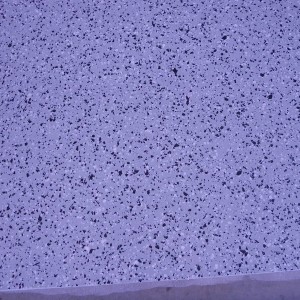 Epoxi garage floor coating