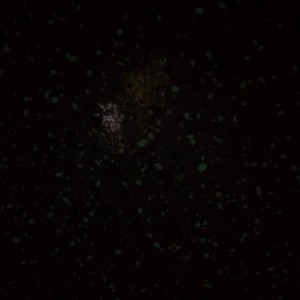 IMAG009411