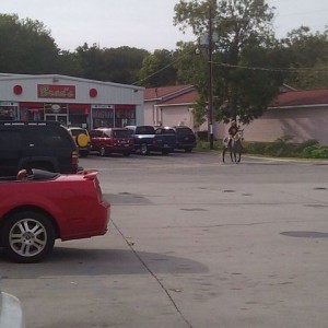 Only in my town will someone ride their horse to the liquor store with a gh