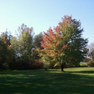 Fall is in the air