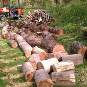 I got wood