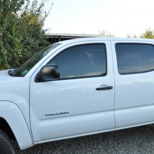 new tint
