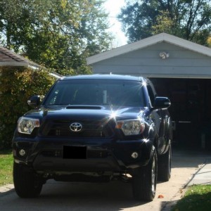 2012 Tacoma bugs view
