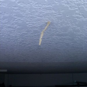 Shit got termites comin thru ceiling in garage. Time to let the landlord kn