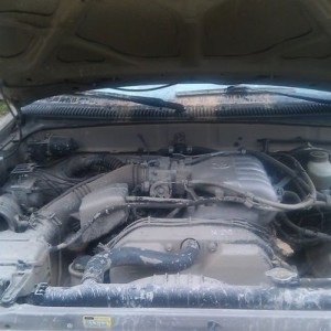 liver8RghV