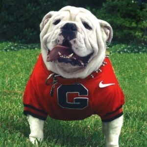 Go DAWGS!!! CB#: 912-590-2892