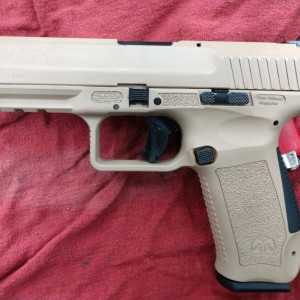 liveSf6764.jpg