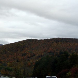 DSC07753