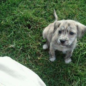 Idk what the hell it is but I want it.