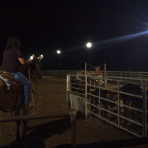 Watching my friend Stormee learn to Team Rope.