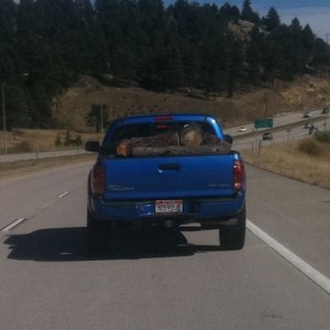 Sorry for riding your tail, Just wanted to get a picture whoever you might 