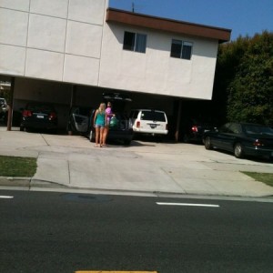 Ahhhh new neighbors
