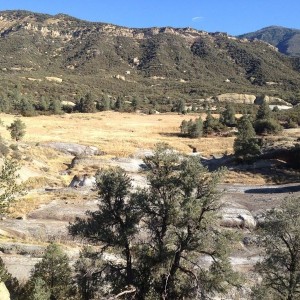 Area I was hunting today