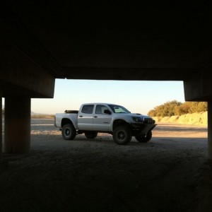 Ocotillo today 2