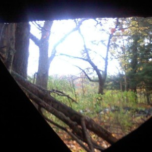 The view from here.