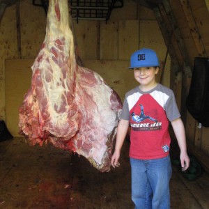 Moose quarters